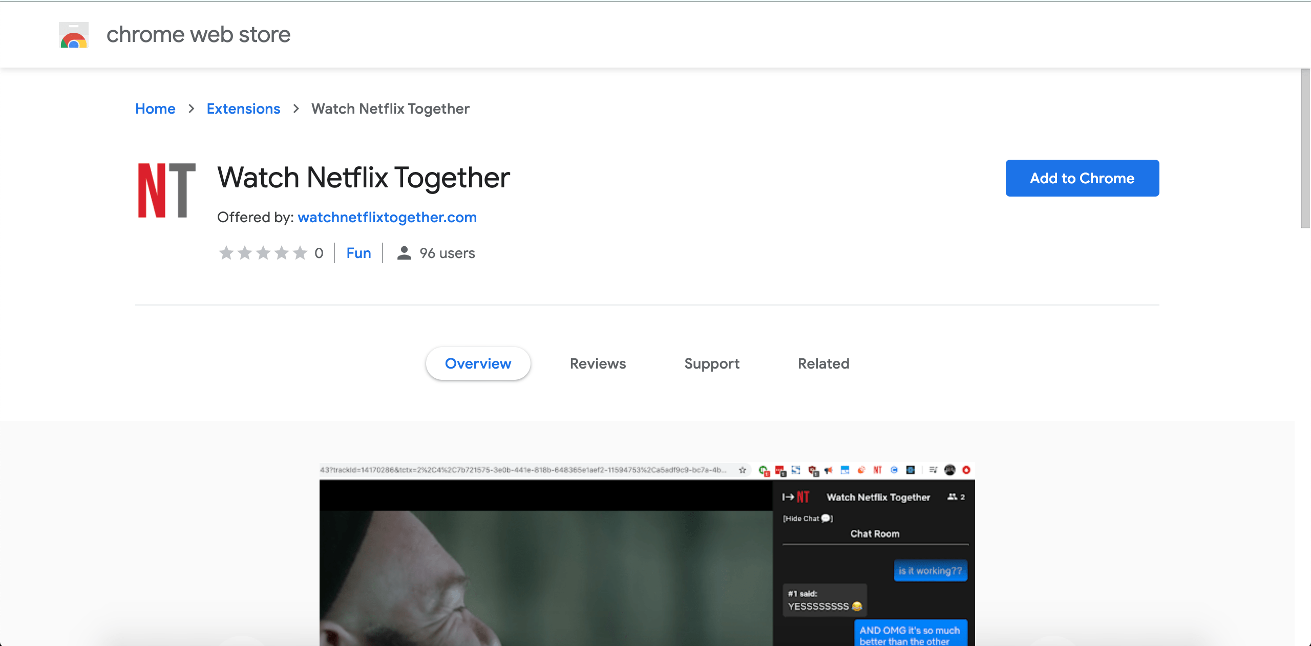 extension in the chrome web store